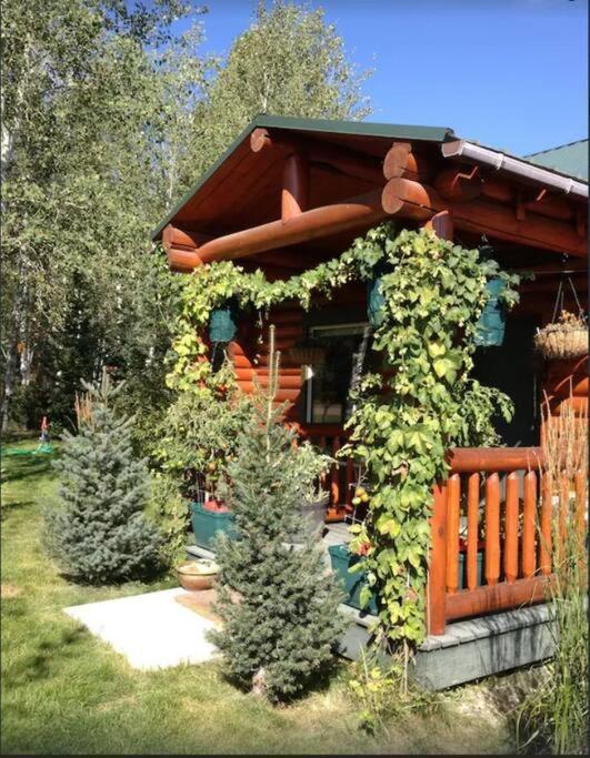 Lazy Fox Cabin West Yellowstone Exteriér fotografie